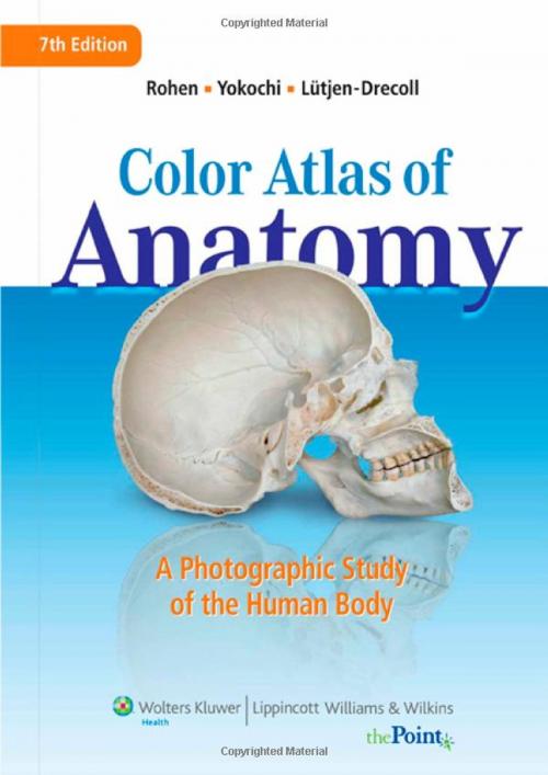 Cover of the book Color Atlas of Anatomy by Johannes W. Rohen, Elke Lütjen-Drecoll, Chichiro Yokochi, Wolters Kluwer Health