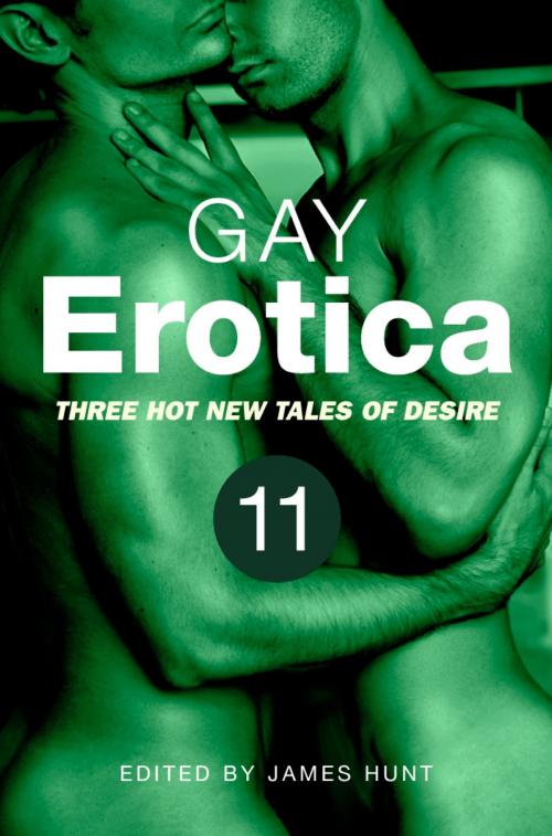 Cover of the book Gay Erotica, Volume 11 by James Hunt, Little, Brown Book Group
