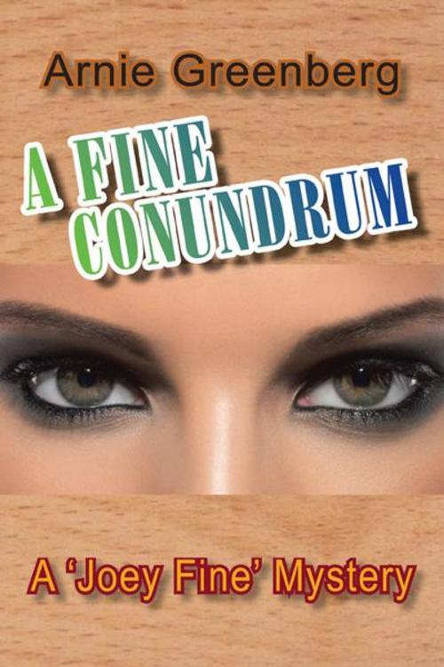 Cover of the book A Fine Conundrum by Arnie Greenberg, iUniverse