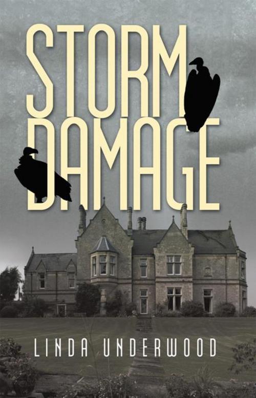 Cover of the book Storm Damage by Linda Underwood, iUniverse