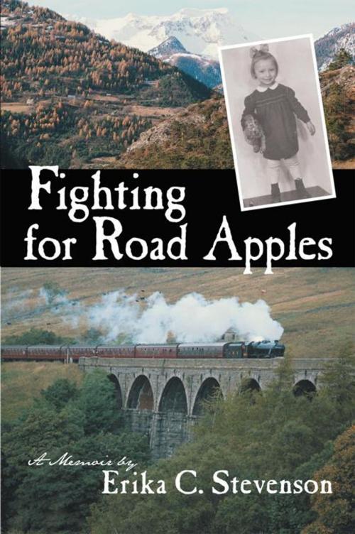 Cover of the book Fighting for Road Apples by Erika C. Stevenson, iUniverse