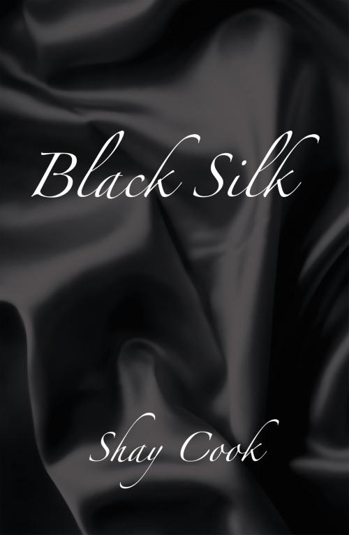 Cover of the book Black Silk by Shay Cook, iUniverse