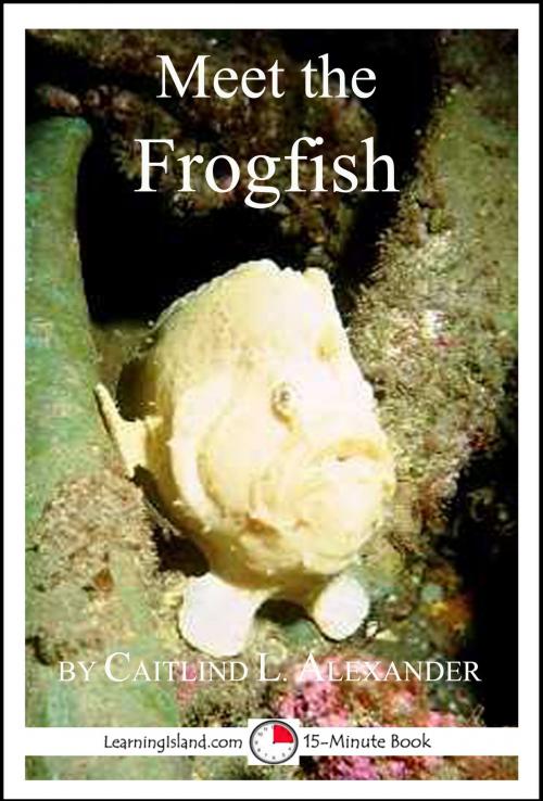 Cover of the book Meet the Frogfish: A 15-Minute Book for Early Readers by Caitlind L. Alexander, LearningIsland.com