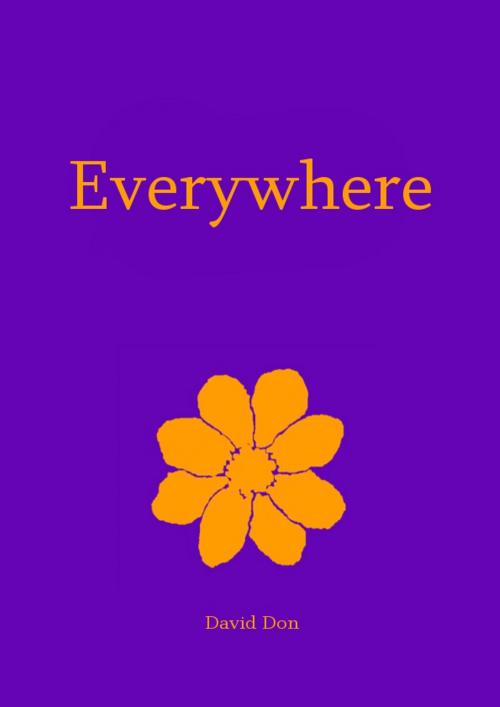 Cover of the book Everywhere by David Don, David Don