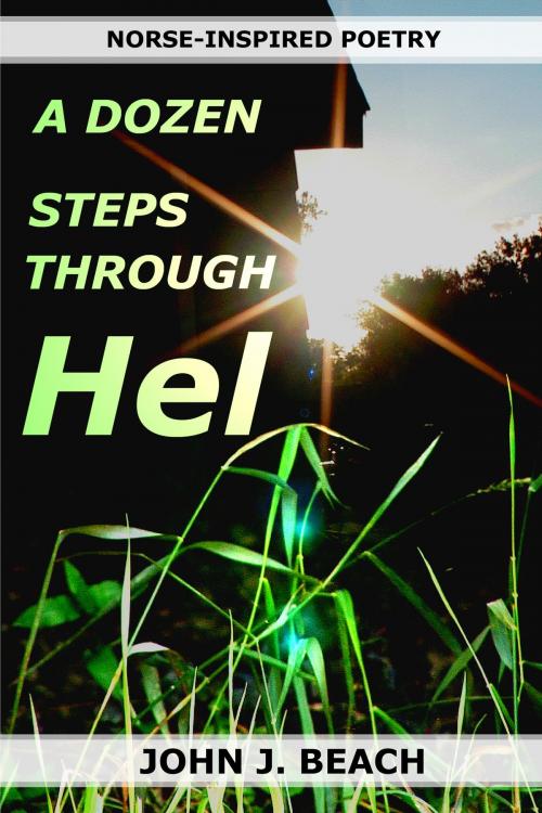 Cover of the book A Dozen Steps Through Hel by John Beach, John Beach