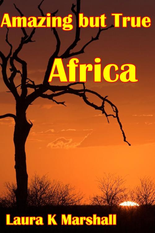 Cover of the book Amazing but True: Africa Adventure Book 1 by Laura K Marshall, Laura K Marshall