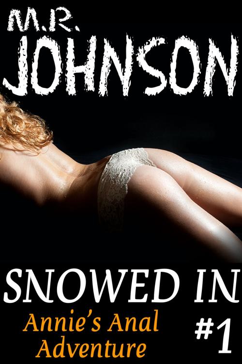 Cover of the book Annie's Anal Adventure (Snowed In, #1) by M.R. Johnson, M.R. Johnson