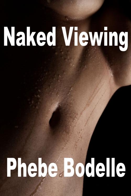 Cover of the book Naked Viewing by Phebe Bodelle, Phebe Bodelle