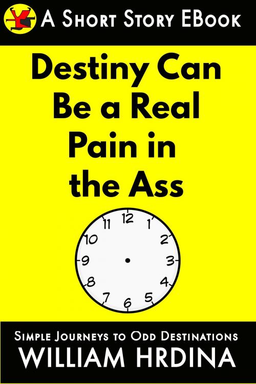 Cover of the book Destiny Can Be a Real Pain in the Ass by William Hrdina, William Hrdina