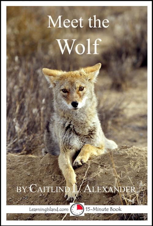 Cover of the book Meet the Wolf: A 15-Minute Book for Early Readers by Caitlind L. Alexander, LearningIsland.com