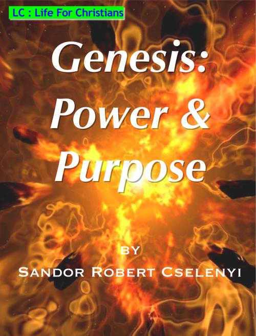 Cover of the book Genesis: Power & Purpose by Sandor Cselenyi, Sandor Cselenyi