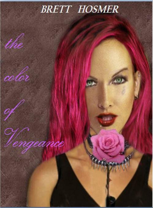 Cover of the book The Color of Vengeance by Brett Hosmer, Brett Hosmer