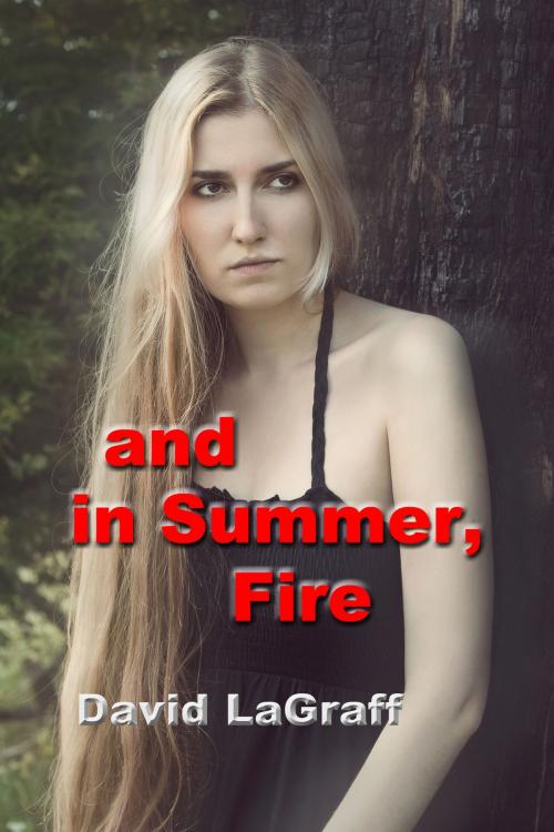 Cover of the book And In Summer Fire by David LaGraff, David LaGraff