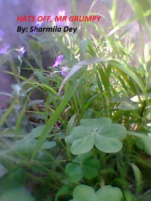 Cover of the book Hats Off, Mr. Grumpy by Sharmila Dey, Sharmila Dey
