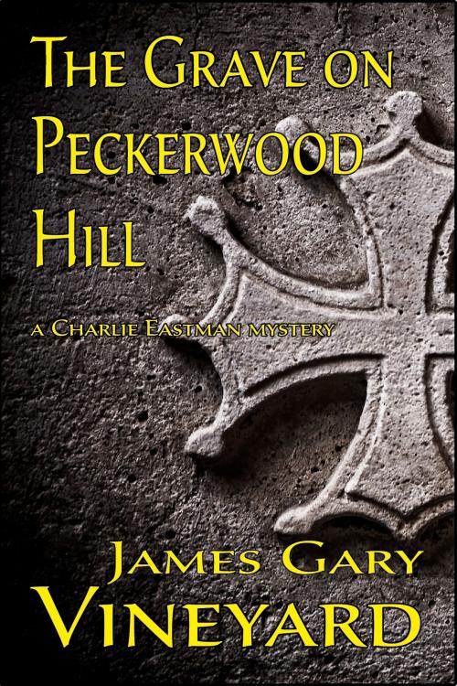 Cover of the book The Grave on Peckerwood Hill by James Vineyard, James Vineyard