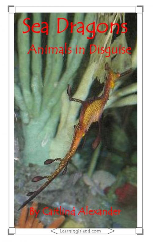 Cover of the book Sea Dragons: Animals in Disguise by Caitlind L. Alexander, LearningIsland.com