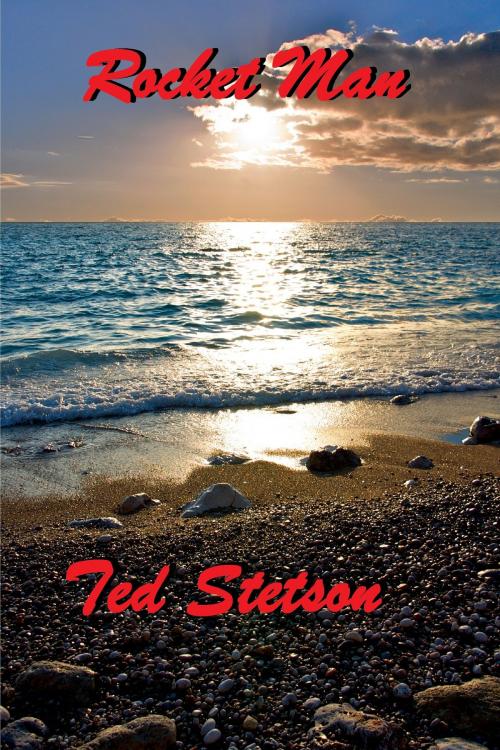 Cover of the book Rocket Man by Ted Stetson, Ted Stetson