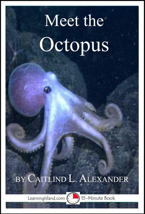 Cover of the book Meet the Octopus: A 15-Minute Book for Early Readers by Caitlind L. Alexander, LearningIsland.com