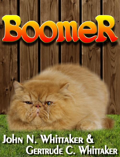 Cover of the book Boomer by John N Whittaker, John N Whittaker
