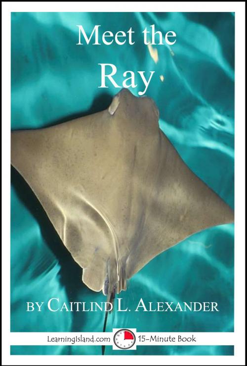 Cover of the book Meet the Ray: A 15-Minute Book for Early Readers by Caitlind L. Alexander, LearningIsland.com