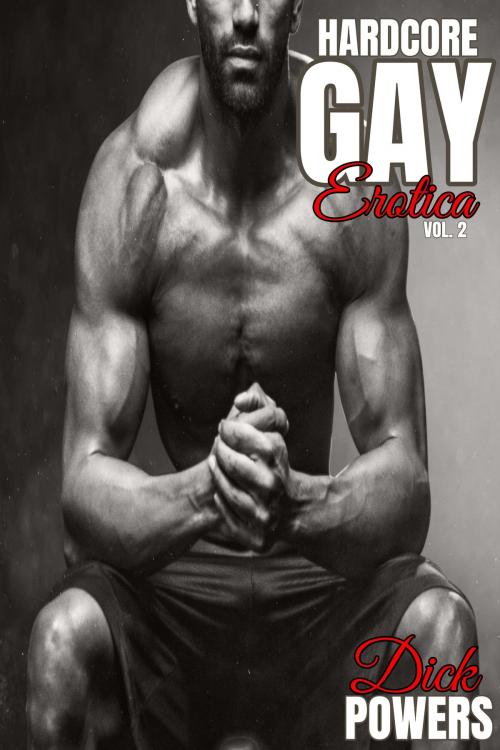 Cover of the book Hardcore Gay Erotica Vol. 2 by Dick Powers, Lunatic Ink Publishing