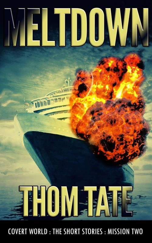 Cover of the book Meltdown by Thom Tate, Thom Tate