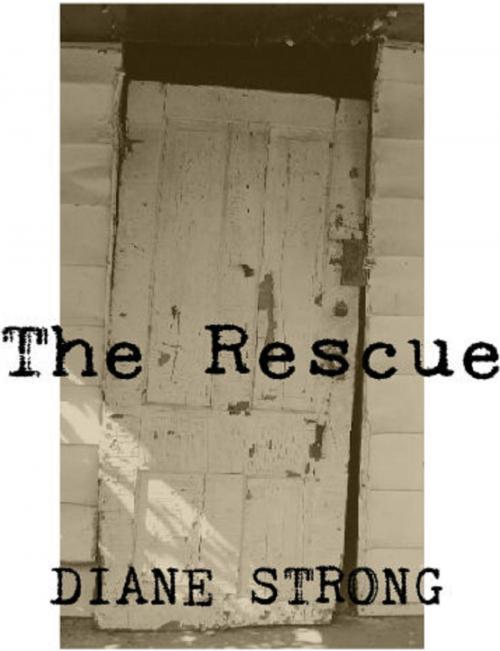 Cover of the book The Rescue (The Running Suspense Series #4) by Diane Strong, Diane Strong