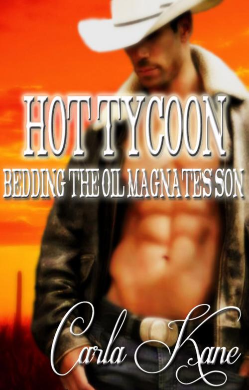 Cover of the book Hot Tycoon: Bedding the Oil Magnate's Son by Carla Kane, The Blue Bouzouki Press