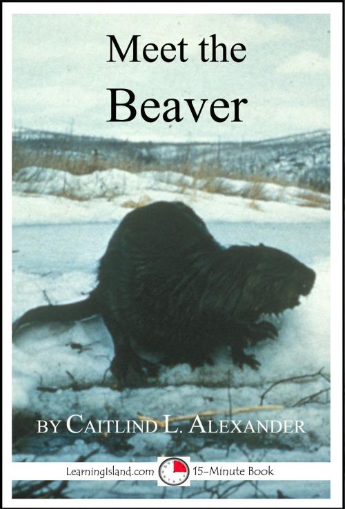 Cover of the book Meet the Beaver: A 15-Minute Book for Early Readers by Caitlind L. Alexander, LearningIsland.com