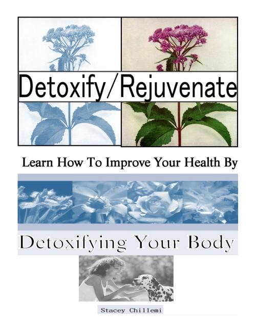 Cover of the book Detoxify/Rejuvenate: Learn How You Can Improve Your Health By Detoxifying Your Body by Stacey Chillemi, Stacey Chillemi