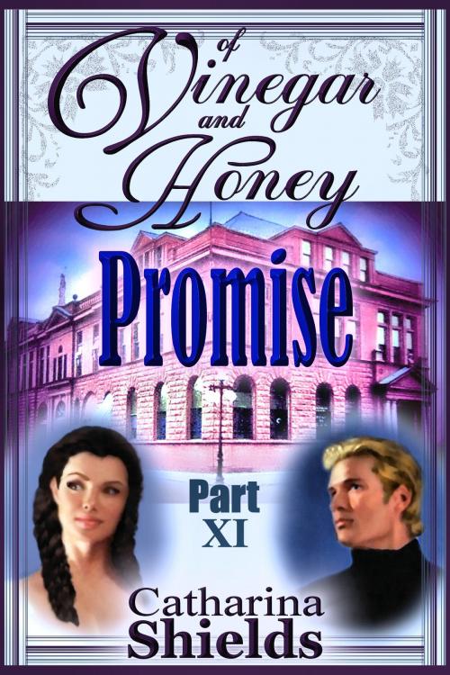 Cover of the book Of Vinegar and Honey, Part XI: "Promise" by Catharina Shields, Catharina Shields