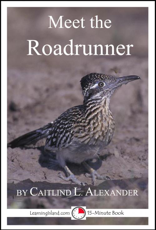 Cover of the book Meet the Roadrunner: A 15-Minute Book for Early Readers by Caitlind L. Alexander, LearningIsland.com