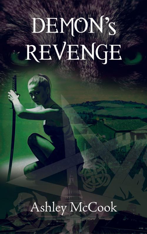 Cover of the book Demon's Revenge: Emily: Book 2 by Ashley McCook, Ashley McCook