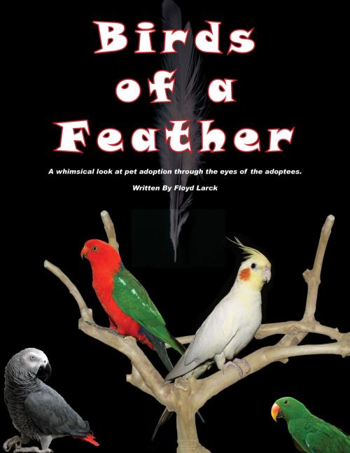 Cover of the book Birds of a Feather by Floyd Larck, Floyd Larck