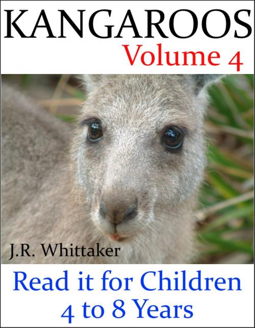Cover of the book Kangaroos (Read it book for Children 4 to 8 years) by J. R. Whittaker, J. R. Whittaker
