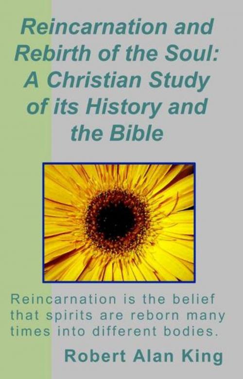 Cover of the book Reincarnation and Rebirth of the Soul: A Christian Study of its History and the Bible by Robert Alan King, Robert Alan King