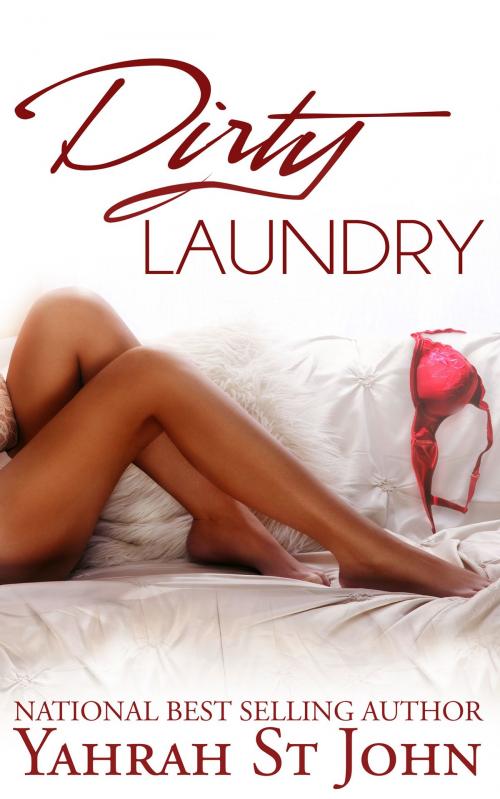 Cover of the book Dirty Laundry by Yahrah St. John, Yahrah St. John