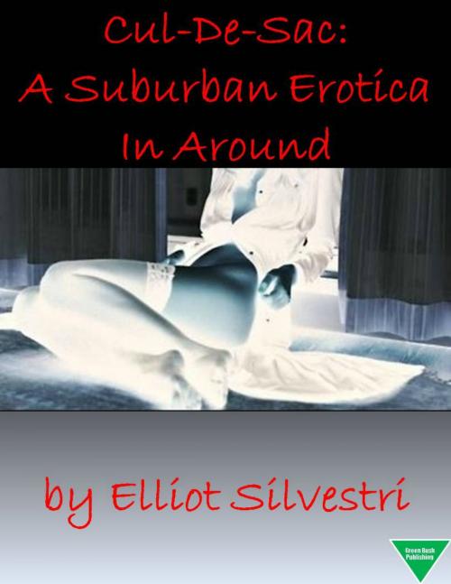 Cover of the book Cul-De-Sac: A Suburban Erotica In Around by Elliot Silvestri, Elliot Silvestri