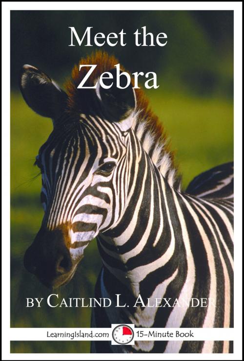 Cover of the book Meet the Zebra: A 15-Minute Book for Early Readers by Caitlind L. Alexander, LearningIsland.com