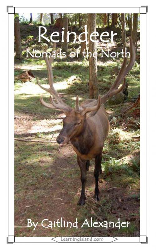 Cover of the book Reindeer: Nomads of the North by Caitlind L. Alexander, LearningIsland.com