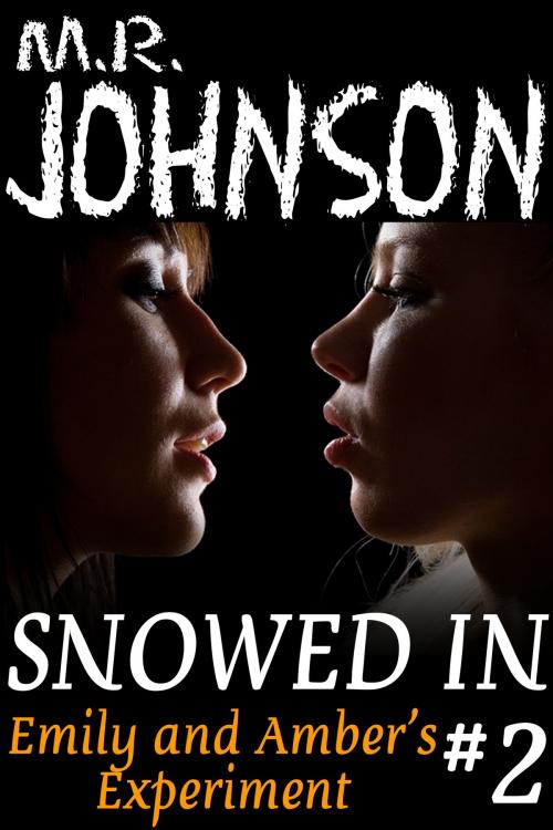 Cover of the book Emily and Amber's Experiment (Snowed In, #2) by M.R. Johnson, M.R. Johnson