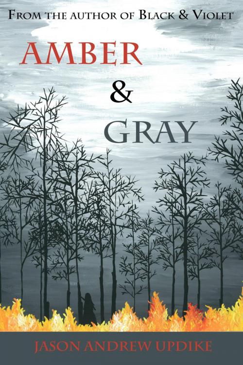 Cover of the book Amber & Gray by Jason Andrew Updike, Jason Andrew Updike