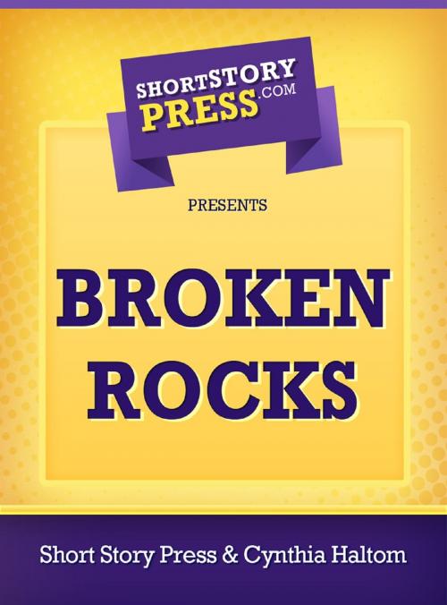 Cover of the book Broken Rocks by Cynthia Haltom, Short Story Press