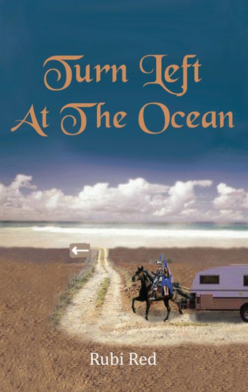 Cover of the book Turn Left at the Ocean by Rubi Red, Xlibris AU