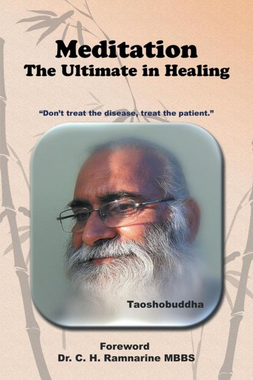 Cover of the book Meditation by Taoshobuddha, AuthorHouse UK