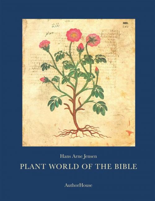 Cover of the book Plant World of the Bible by Hans Arne Jensen, AuthorHouse UK
