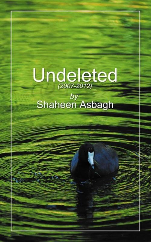 Cover of the book Undeleted by Shaheen Asbagh, AuthorHouse