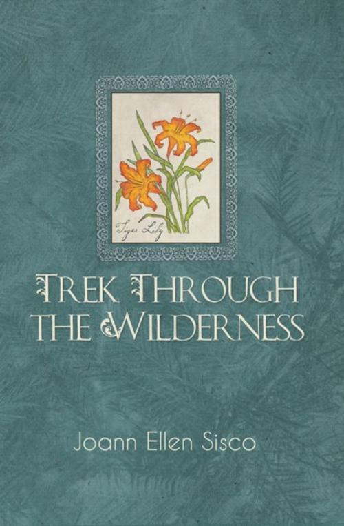 Cover of the book Trek Through the Wilderness by Joann Ellen Sisco, AuthorHouse