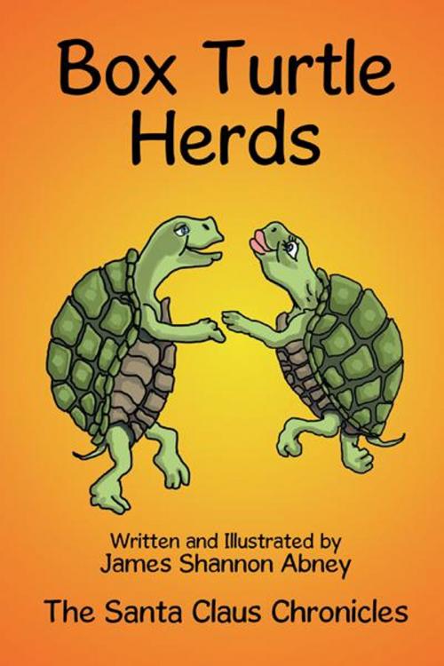 Cover of the book Box Turtle Herds by James Shannon Abney, AuthorHouse