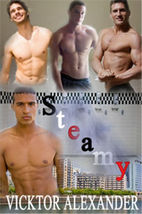 Cover of the book Steamy by Vicktor Alexander, The Rooster & The Pig Publishing